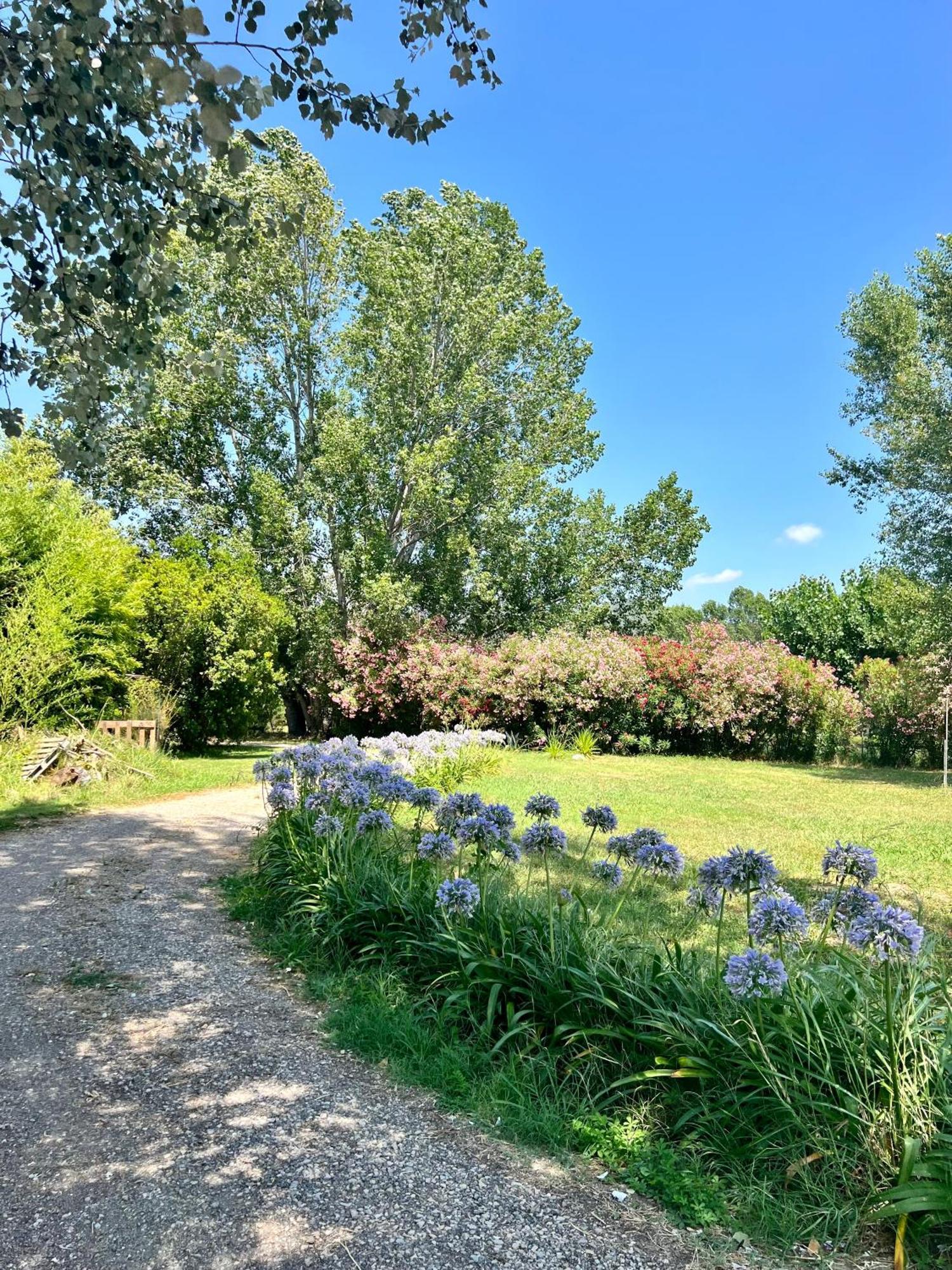 Domaine Du Lac De La Vallee La Roquette-sur-Siagne Kültér fotó